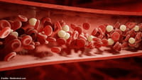Científicos crean sangre por primera vez
