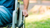 Descubrimiento clave contra la paraplejía