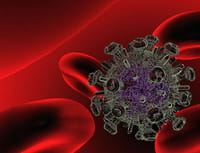 El VIH no está en la sangre sino en los tejidos linfoides