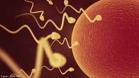 Los hombres pierden espermatozoides