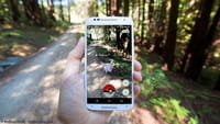Pokémon GO, a la corte holandesa