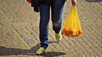 La bolsa sin plástico, idea de chilenos