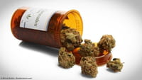 Los efectos dañinos de la marihuana