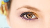 El brócoli protege contra la degeneración ocular