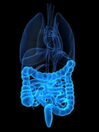 Descubren una variante del síndrome del intestino irritable asociada a la diverticulitis