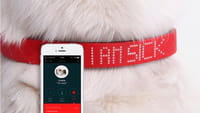 Un 'gadget' para entender a tu perro