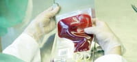 Un completo análisis de sangre, nueva herramienta para predecir la esperanza de vida