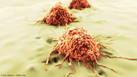 Proteína contra la evolución del cáncer