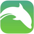 Dolphin browser ios