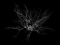 Científicos del CSIC identifican un probable detector temprano de la enfermedad de Alzheimer