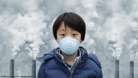 Niños muertos por contaminación