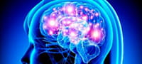 Identifican mutaciones genéticas que desempeñan un papel clave en la epilepsia infantil