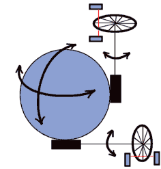Interior de un ratón