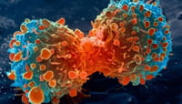 ¿Cómo escapa el cáncer a los fármacos?