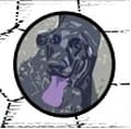 Descargar Slowview (Diaporama)