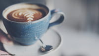 Consumir una veintena de tazas de café por día no es tan malo para la salud