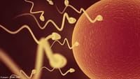 El donante de esperma con 100 hijos