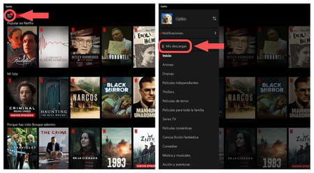 Netflix descargar contenido