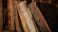 Leer un libro sin abrirlo