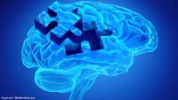 Las mujeres tienen el cerebro más activo