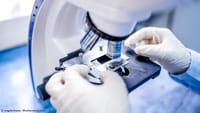 Operar sin cortar la piel gracias al microscopio
