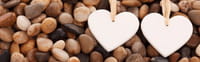 Una sustancia natural protege el corazón infartado antes de restaurar la circulación