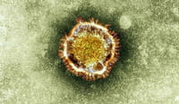 Un brote del nuevo coronavirus afecta a 13 personas de un centro de Arabia