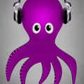 Descargar Groovesquid (Descargas)
