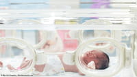 Bacterias que provocan nacimientos prematuros