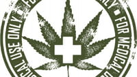 Droga base a cannabis falla en alivio de dolores del cáncer