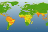 El primer mapa mundial de la incidencia de dengue